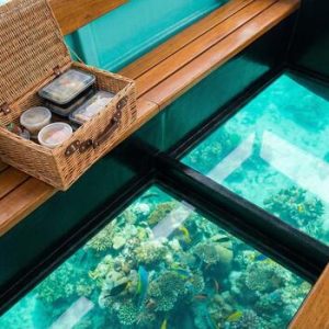 Glass Bottom Boat